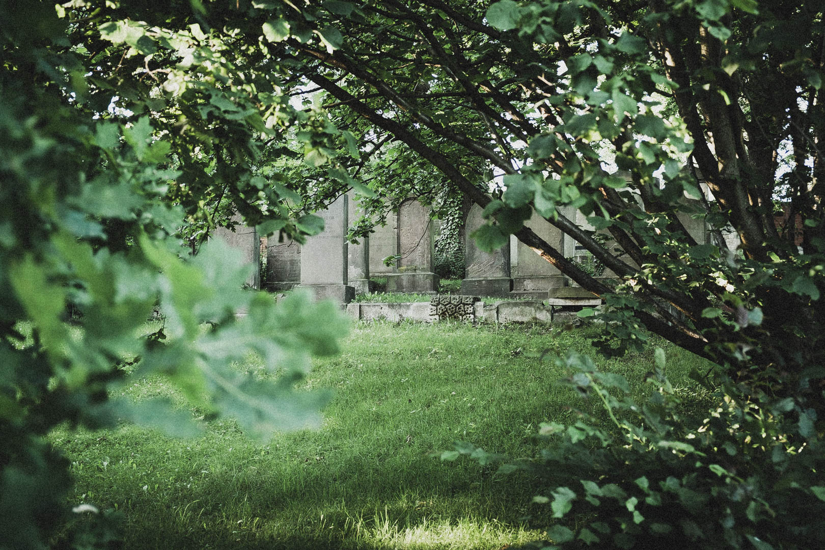 Jüdischer Friedhof Kassel-Bettenhausen